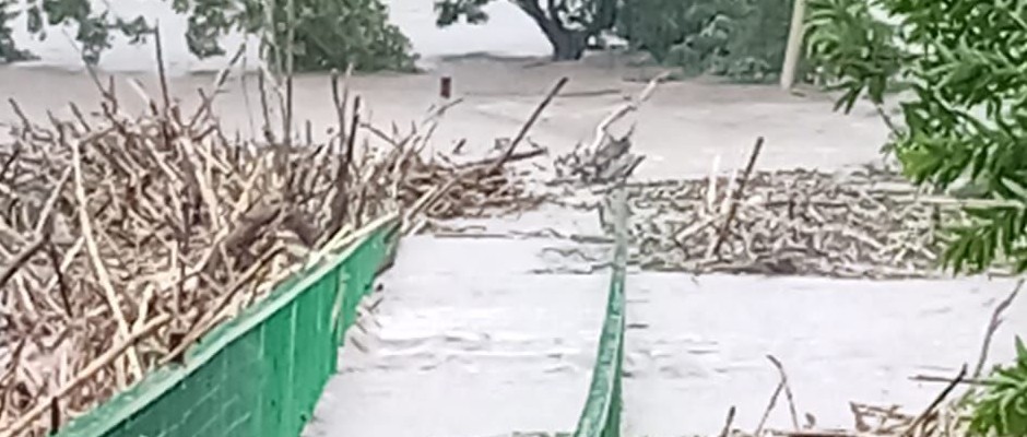 The Fence Survived